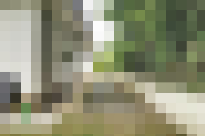 Image 16