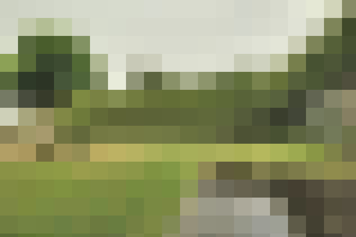 Image 17