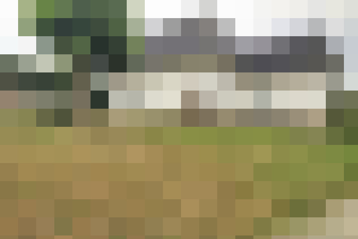 Image 20
