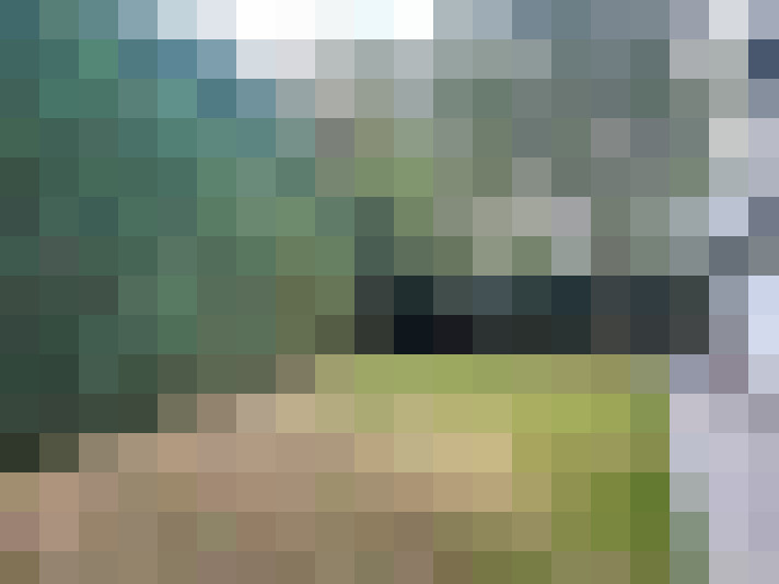 Image 20
