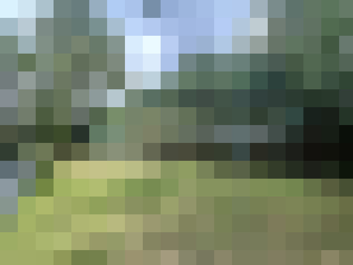Image 22