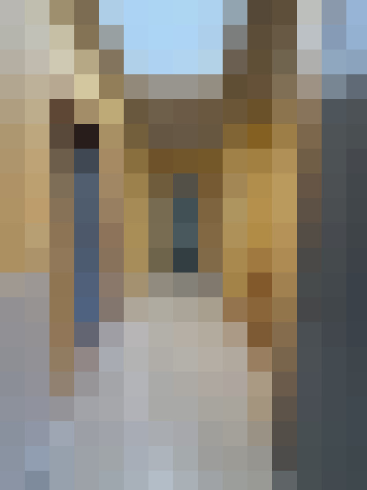 Image 19