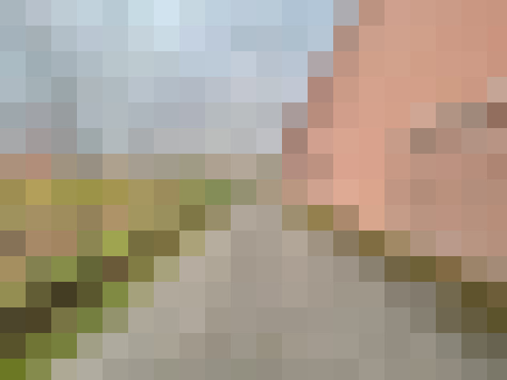 Image 18