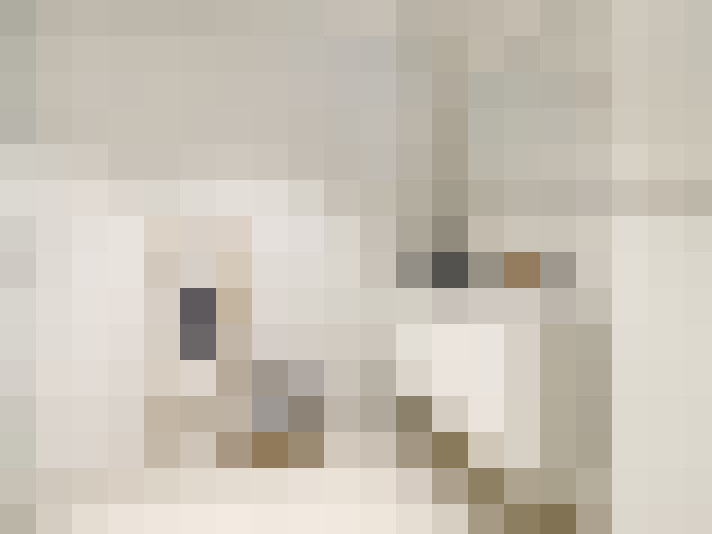 Image 25