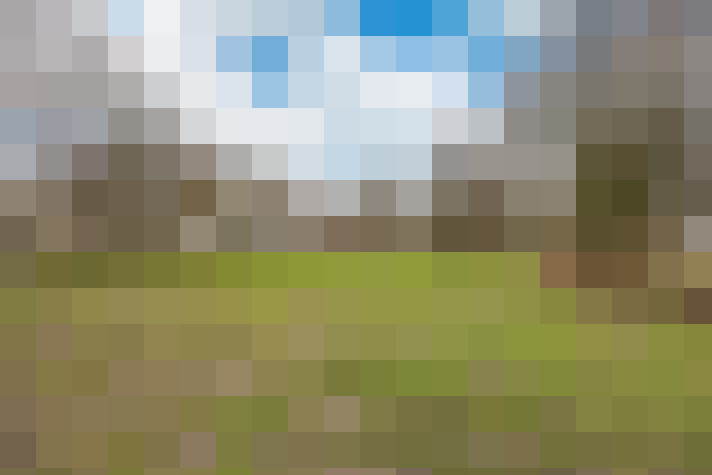 Image 22