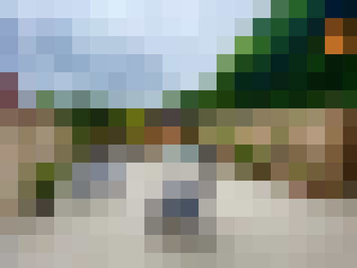 Image 16