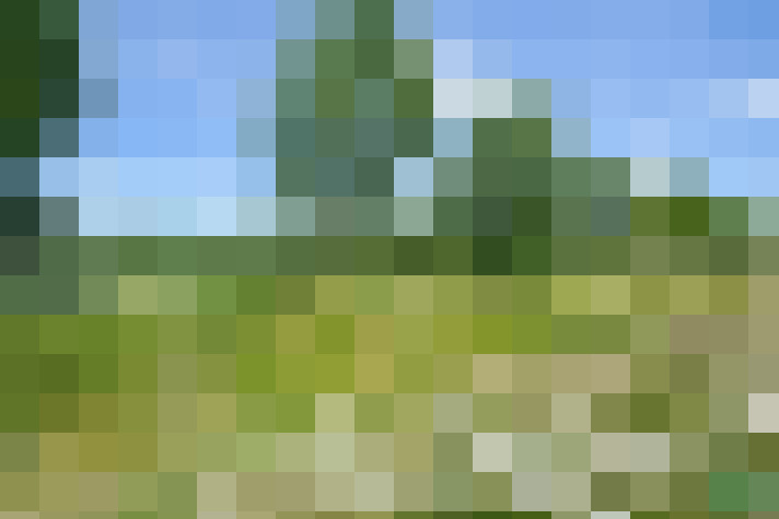 Image 24