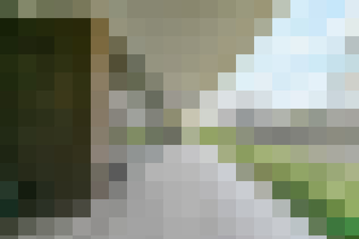 Image 23