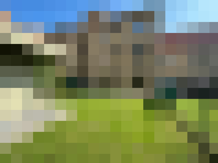Image 13