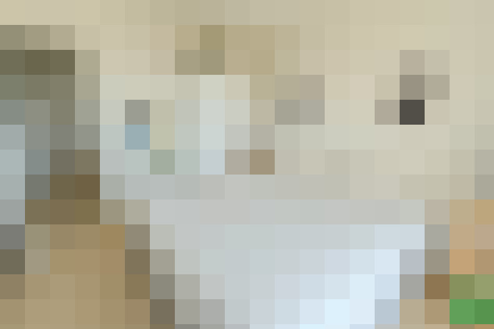 Image 20