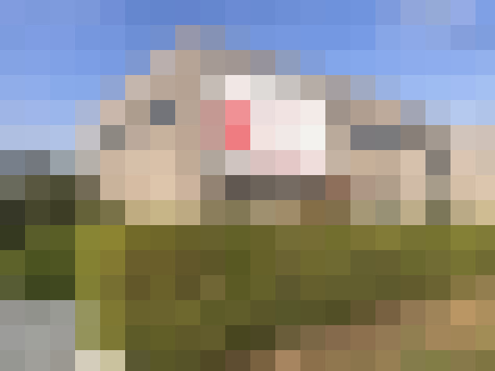 Image 18