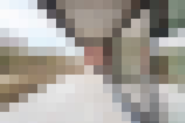 Image 44