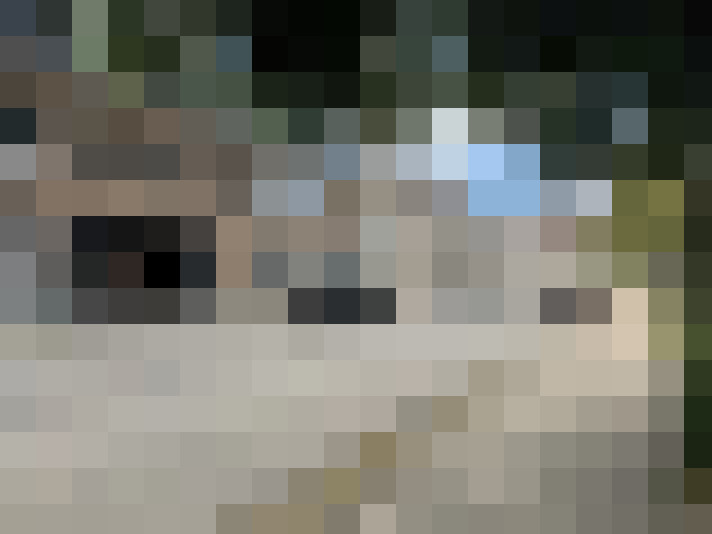 Image 22