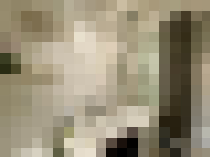 Image 17