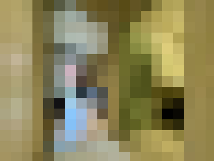 Image 13