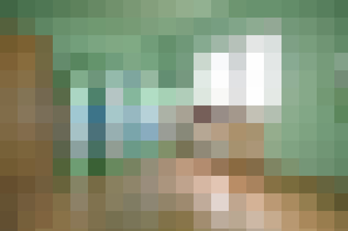 Image 17