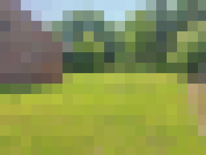 Image 18