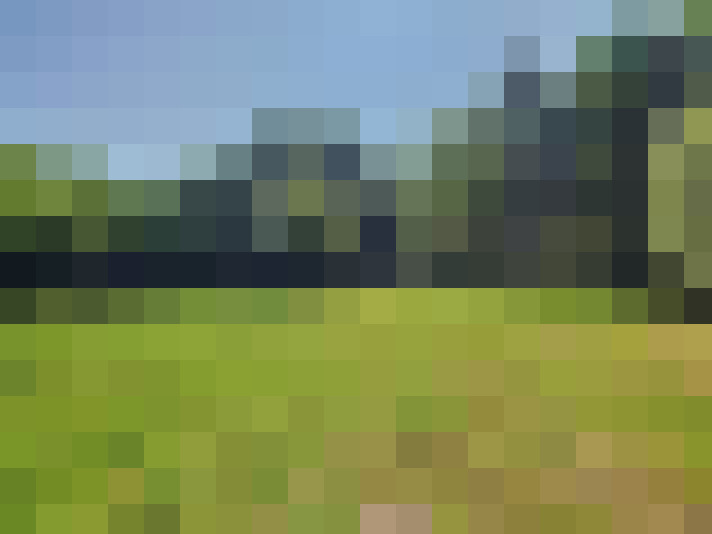 Image 17