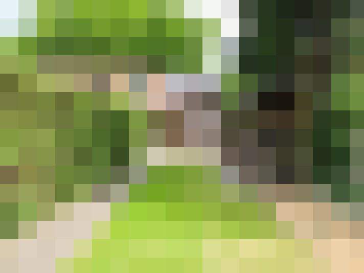 Image 20