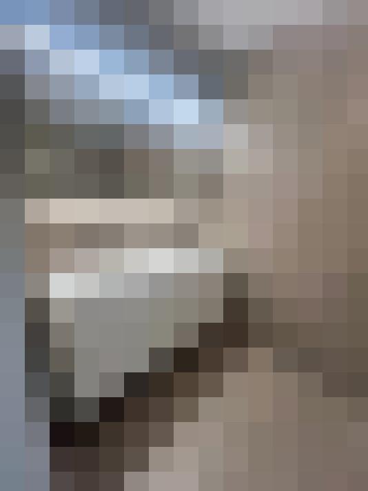 Image 15