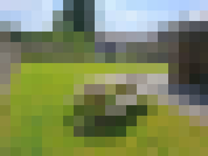 Image 18