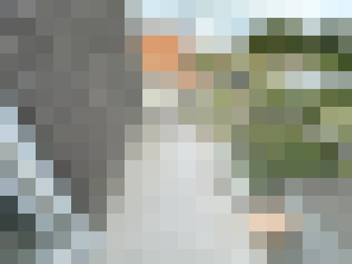 Image 14