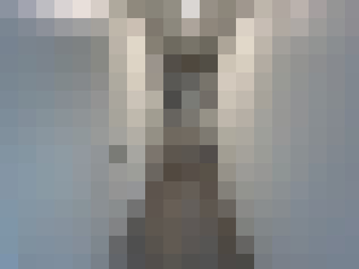 Image 29