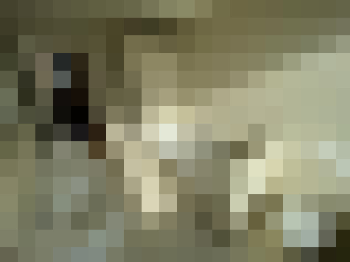 Image 14
