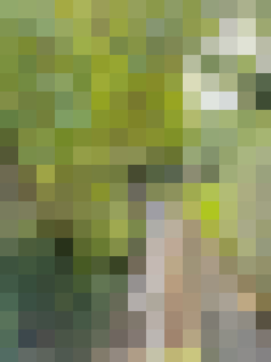 Image 13