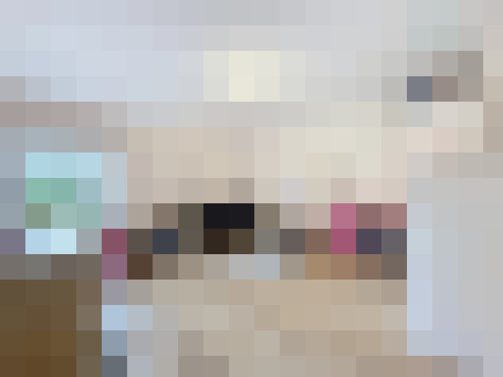 Image 20