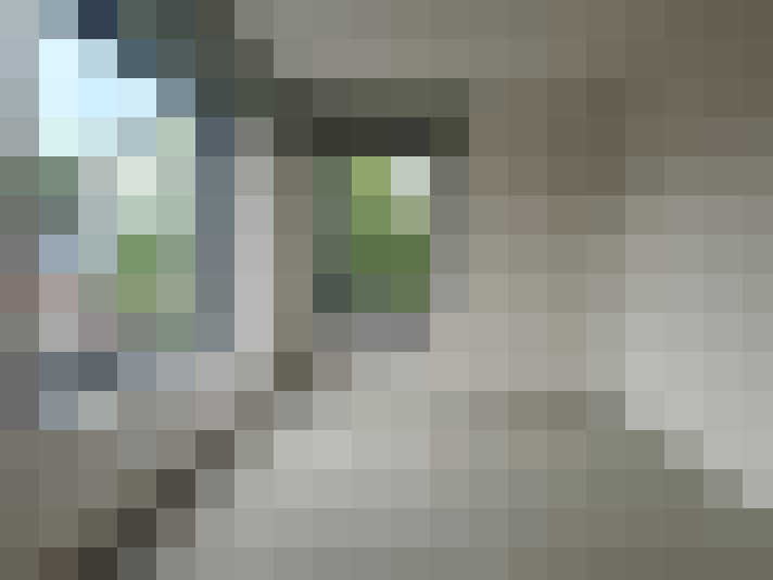 Image 17