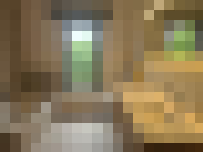 Image 14