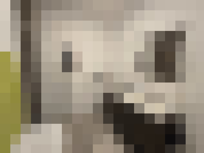 Image 13