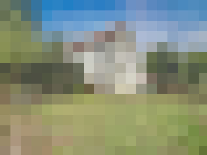 Image 25