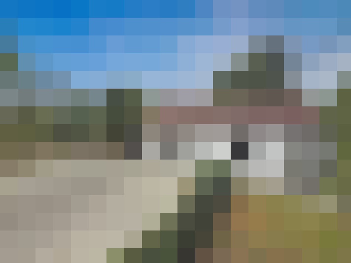 Image 26
