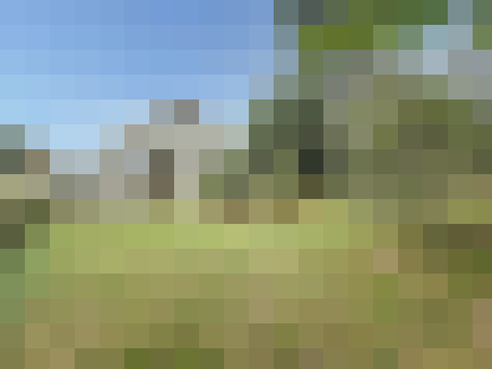Image 23