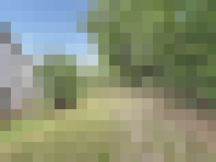 Image 24