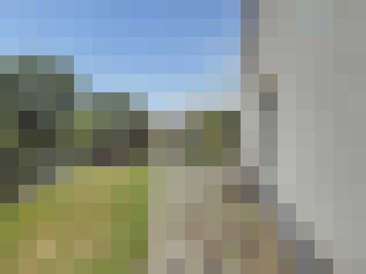 Image 29