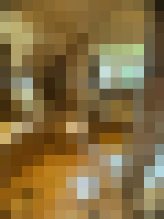 Image 22