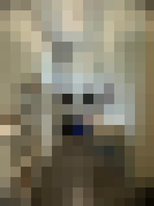 Image 33