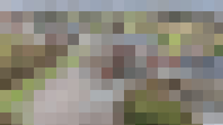 Image 17