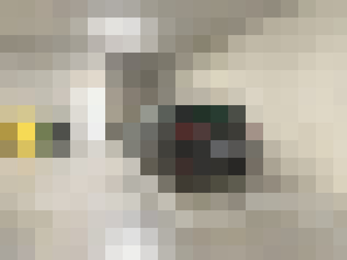 Image 17