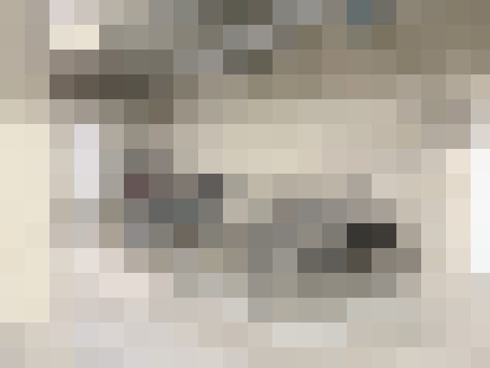 Image 16
