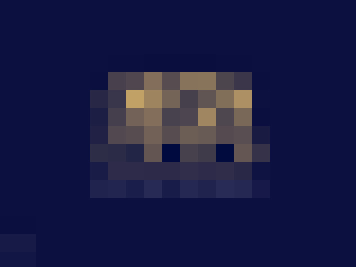 Image 20