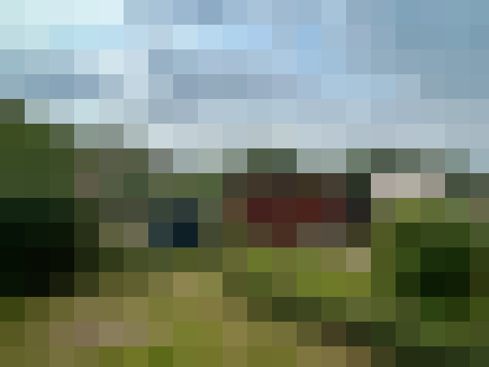 Image 16