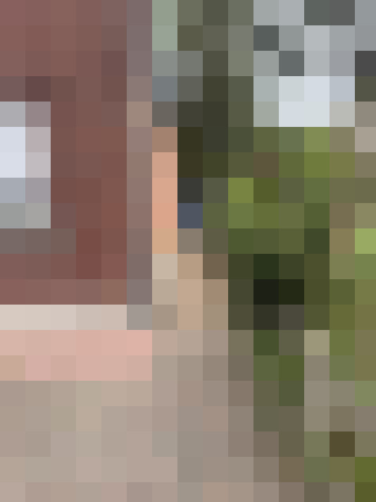 Image 14