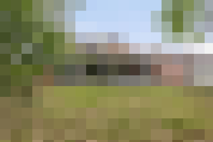 Image 13