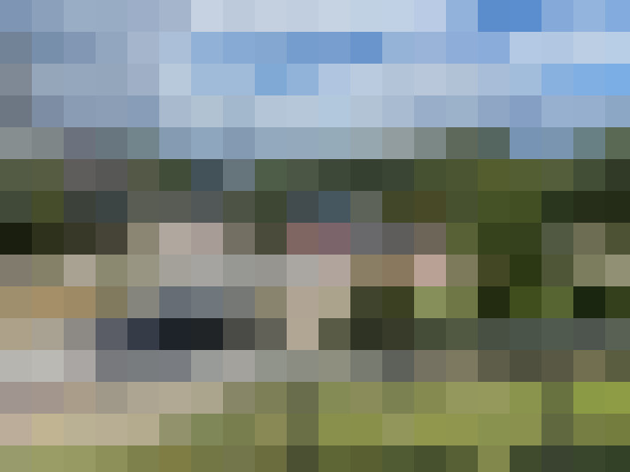 Image 21