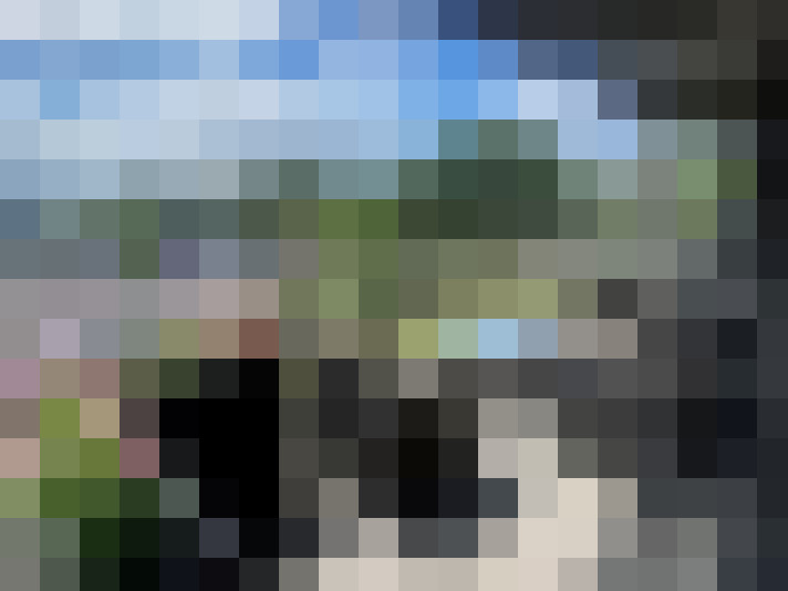 Image 18