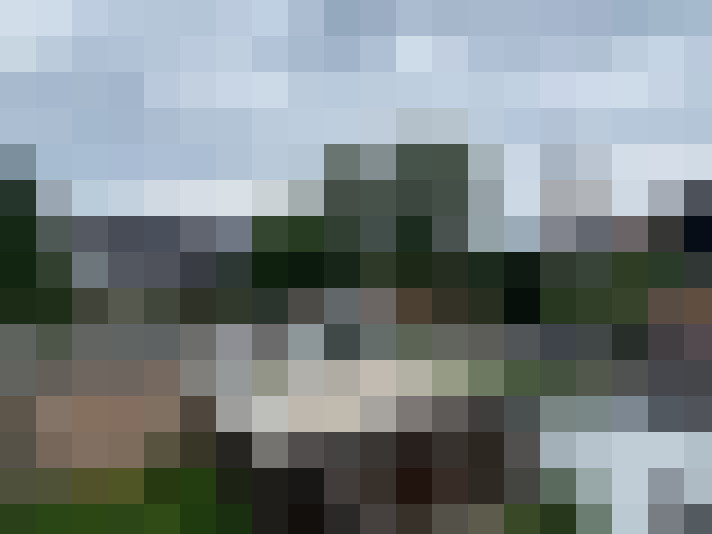 Image 20
